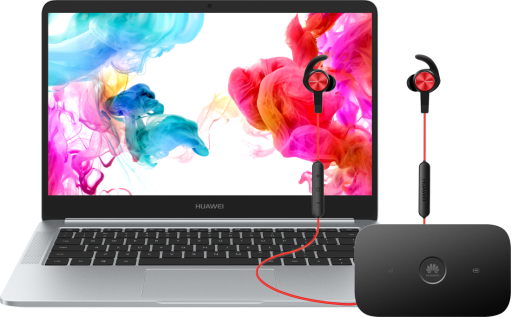 Huawei MateBook D 14' + router E5573Cs