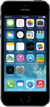 Apple iPhone 5s 16 GB